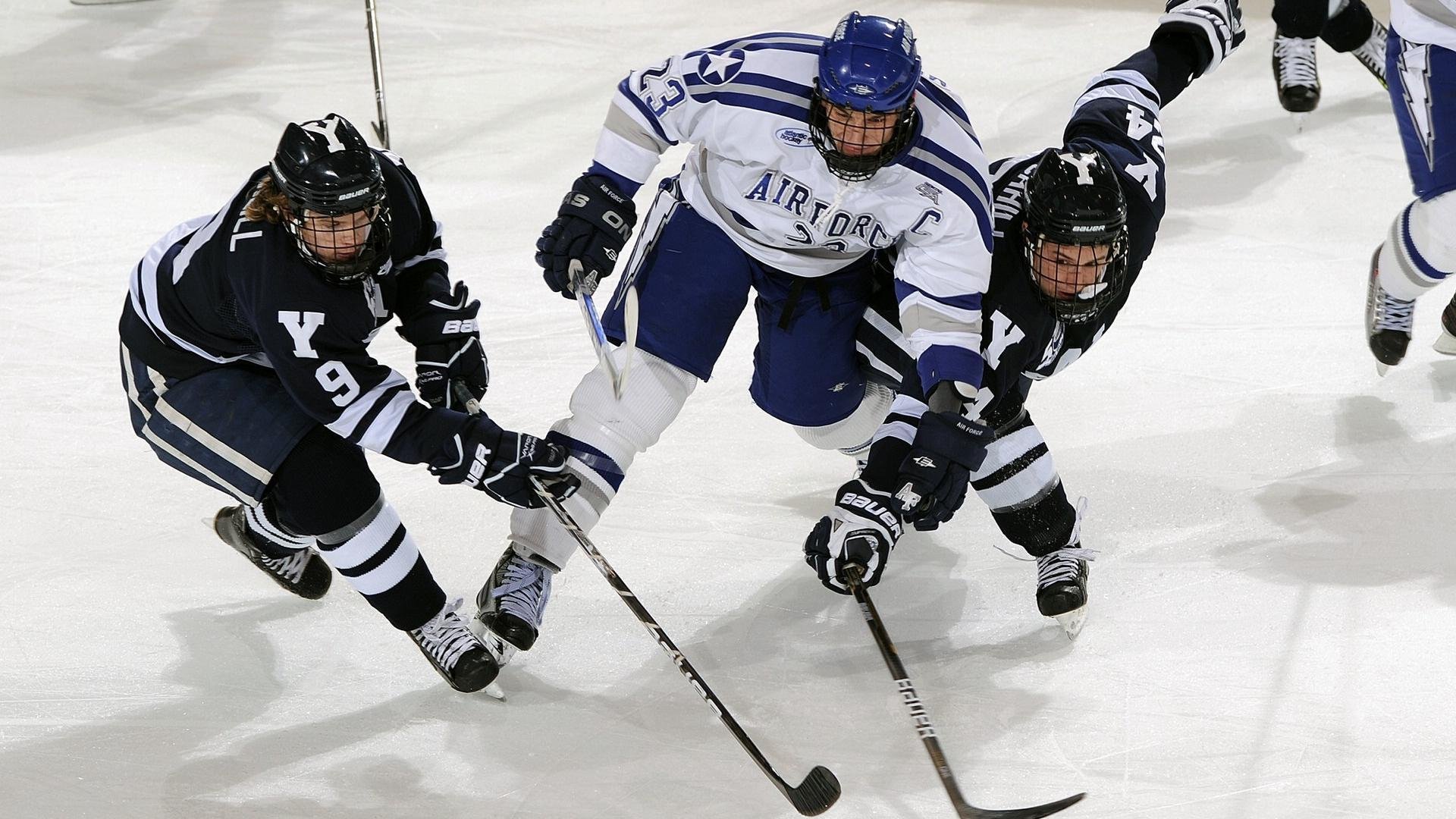 公牛球馆引入“智能人脸识别入场系统”,提升安保效率,公牛队进场